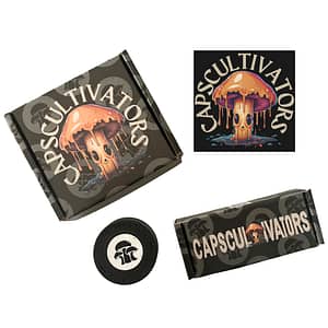 Bundle 2