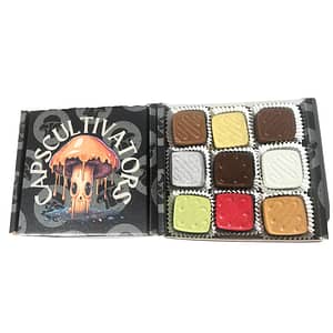 ASSORTED HANDCRAFTED CHOCOLATES-9 PIECE BOX(4.5GRAMS)