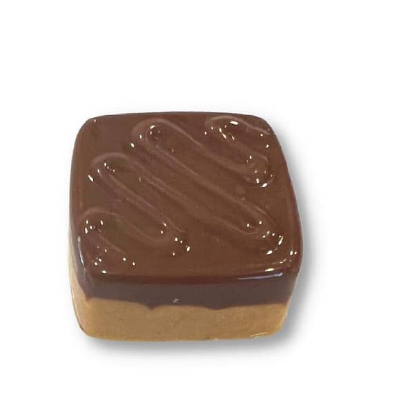 HANDCRAFTED CHOCOLATE SINGLE-CHOCOLATE PEANUT BUTTER