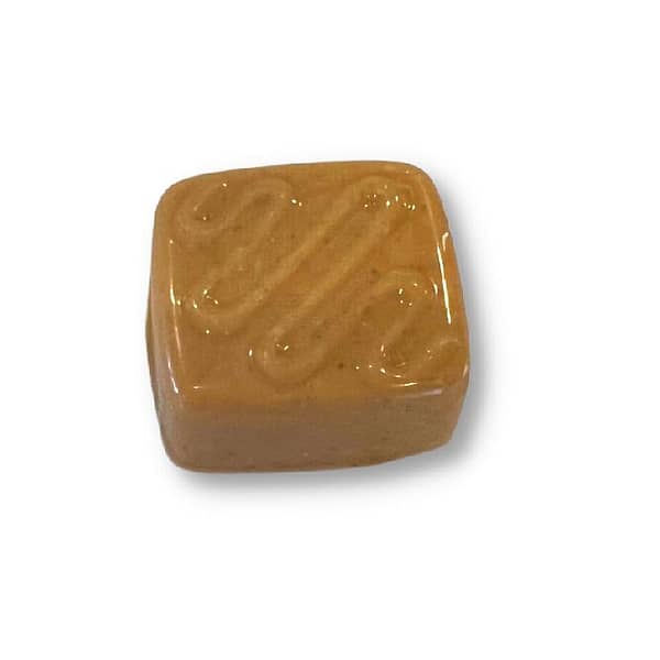 HANDCRAFTED CHOCOLATE SINGLE-SALTED CARAMEL